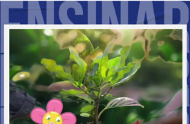 Alunos de Ciências Biológicas do Programa Ensinar produzem vídeos curtos explorando as tecnologias no ensino de Ciências e Biologia