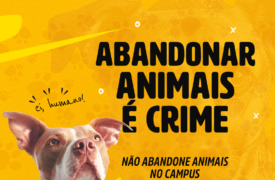 Uema lança campanha “Uema contra o Abandono de Animais” e convoca a Comunidade Acadêmica para ação
