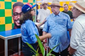 Pesquisas são destaque no estande da Uema no AgroBalsas 2025