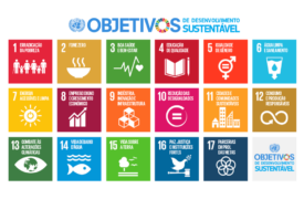 Uema se consolida entre as melhores do Brasil no Times Higher Education Impact Rankings 2025