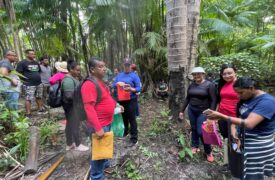 Aula de campo no Polo Cedral do Programa Ensinar promove aprendizado prático sobre a diversidade de criptógamos