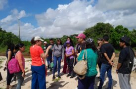 Aula de campo no Rio Pindaré fortalece formação dos alunos de Ciências Biológicas do Programa Ensinar
