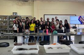 Laboratório de Anfíbios e Répteis da Uema realiza minicurso sobre  acidentes ofídicos