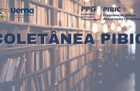 Últimos dias para inscrição da seleção de artigos para Coletânea PIBIC ciclo 2023/2024