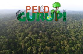 Uema realiza seminário sobre pesquisa ecológica na Reserva Biológica do Gurupi