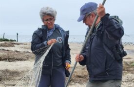 Professora da Uema integra projeto internacional para estudar e proteger aves migratórias