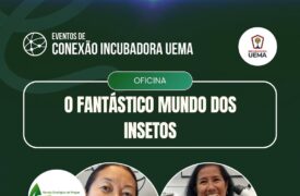 Uema conecta ciência e inovação com oficina sobre a importância dos insetos