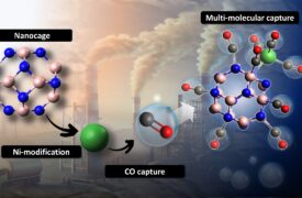 Pesquisador da Uema tem artigo publicado em revista internacional de alto impacto