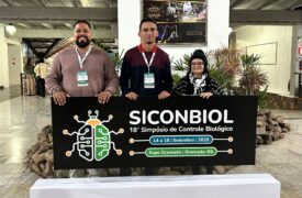 Biofábrica de Insetos da Uema marca presença no 18º Simpósio de Controle Biológico no Rio Grande do Sul