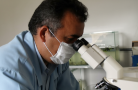 Professor da Uema receberá Comenda de Mérito Farmacêutico