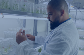 Uema celebra aprovação de 20 projetos em edital da Fapema com captação de R$ 2,9 milhões