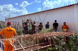 Uema desenvolve projeto pioneiro de ressocialização com criação de abelhas sem ferrão no presídio de Bacabal