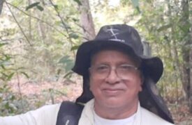 Pesquisador da Uema publica artigo na revista Nature com novo método para estudar insetos na Amazônia