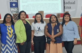 Programa de Formação de Professores Indígenas da Uema integra nova composição do Conselho Estadual de Articulação e Políticas Indígenas 