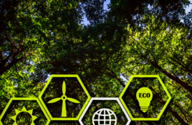 Estudantes do ProfiTec têm artigos publicados em boletim da Superintendência de Gestão Ambiental da Uema