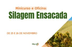 Uema promove capacitação sobre silagem ensacada para fortalecer a produção agropecuária