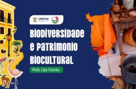 Professora da Uema aborda biodiversidade e patrimônio biocultural em painel na COP 30