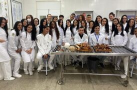 Uema promove aula prática de anatomia para fortalecer formação em Enfermagem