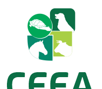 Uema atualiza formulários do Comitê de Ética no uso de animais e orienta comunidade acadêmica sobre novas submissões