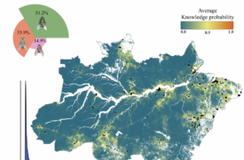 Pesquisa com participação de pesquisador da Uema evidencia lacunas e desafios no estudo da biodiversidade amazônica