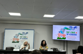 Pesquisadoras do PELD Gurupi participam do 36º Congresso Brasileiro de Zoologia e destacam conservação na Amazônia maranhense